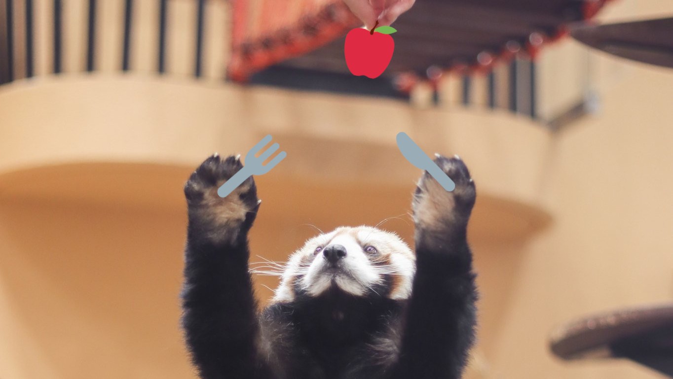 Digital Overdose 2022 CTF Mealtime